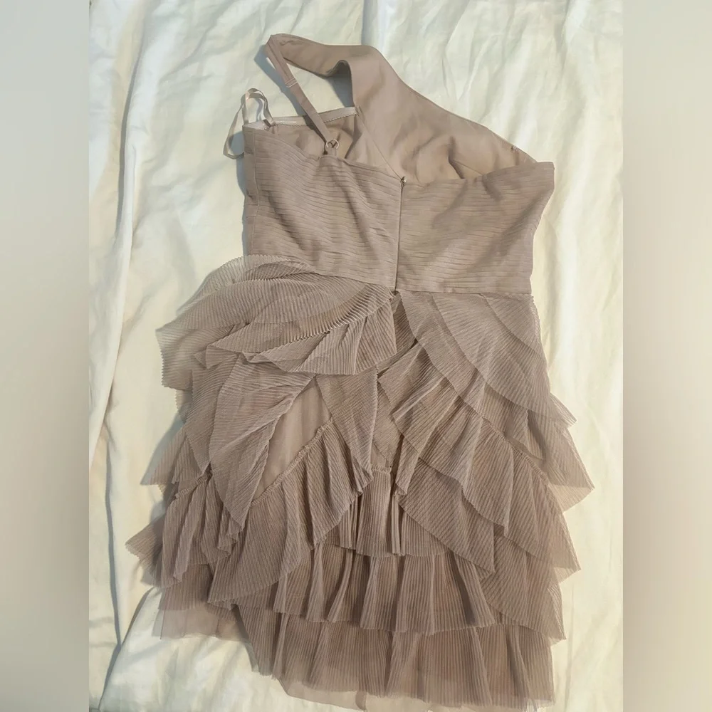 BCBGMaxAzria Taupe (pinkish) Mesh Detail Dress - Picture 3 of 3